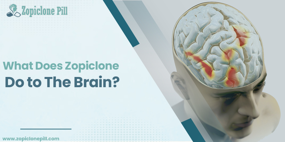 What does zopiclone do to the brain