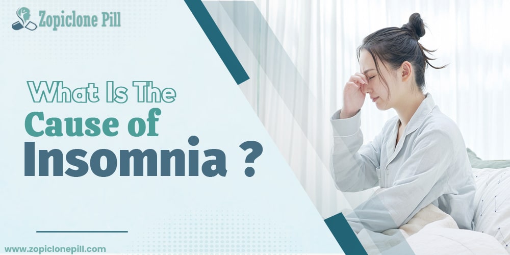 What Is The Cause Of Insomnia?